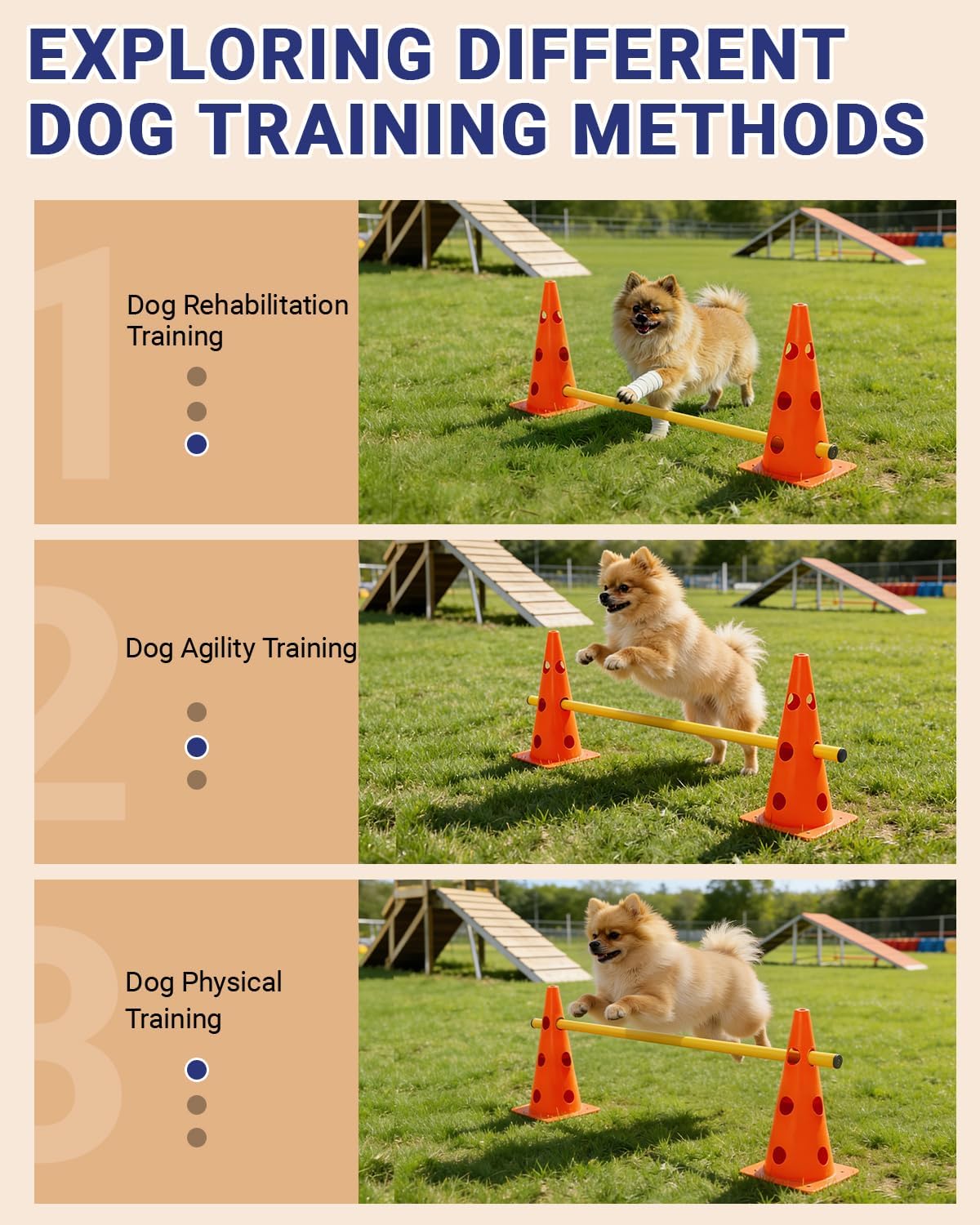 Dog Agility Course Backyard Set - 12 IN / Orange - image 3