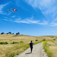 HONBO Large Delta Kite for Kids & Adults - Rainbow - image 4