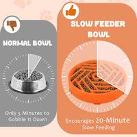 WHIPPY Slow Feeder Dog Bowl - orange - image 4