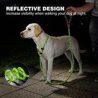 Slip Lead Dog Leash Reflective Training Durable Braided Rope Leashes – Essentials for Dogs - Light Green / 1PC Large 1/2in x 6ft - image 4