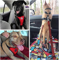SlowTon Dog Seat Belt Harness for Car, Dog Car Harness Adjustable Mesh Breathable & Dog Seatbelt Safety Tether with Elastic Bungee for Small Medium Large Pets(Red Seatbelt, Single Clip, XXXS)