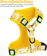 Dog Harness and Leash Set, Adjustable Dog Harness, Dog Leash - Lemon / M(Chest 15.7 - 22.1", Neck 12 - 15") - image 2