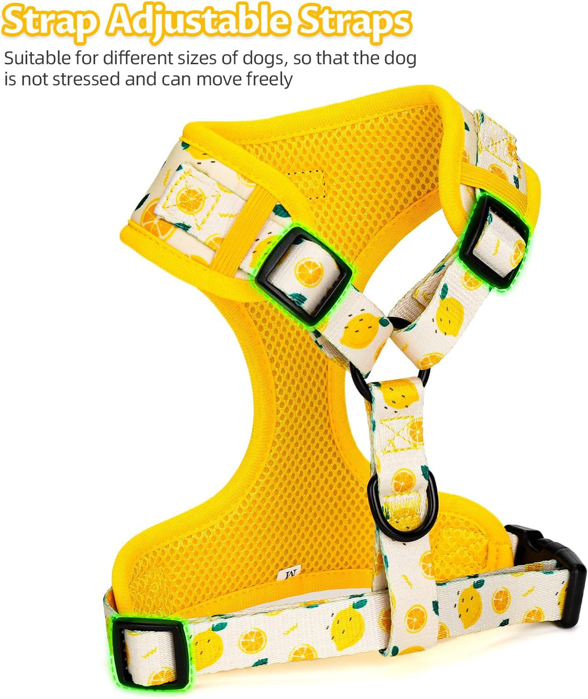 Dog Harness and Leash Set, Adjustable Dog Harness, Dog Leash - Lemon / M(Chest 15.7 - 22.1", Neck 12 - 15") - image 2