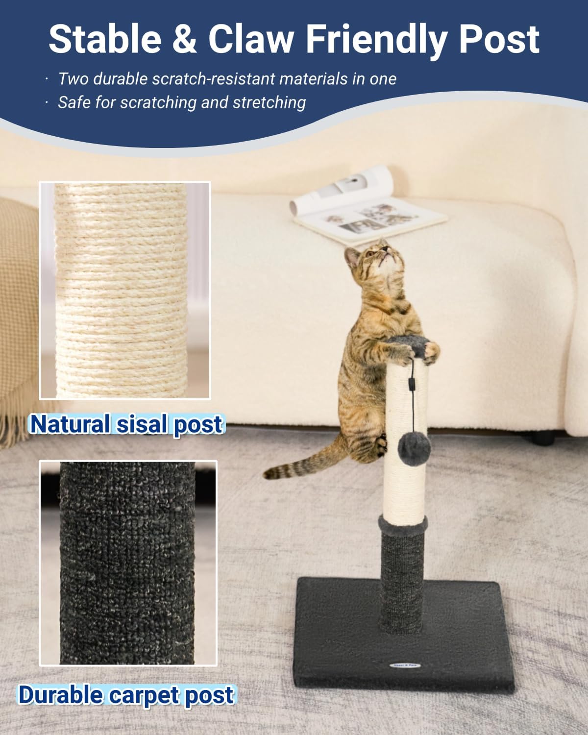 Cat Scratching Post, Cat Scratchers for Indoor Cats with Toys – Essentials for Cats - 21.6" / Smokey Gray - image 2