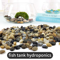 5LB Coarse Sand, Colored Rocks Pebbles - 5LB / 8-12MM - image 3