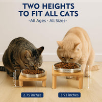 Raised Cat Bowl, Elevated Cat Bowls with Bamboo Stand, Set of 2 – Essentials for Cats - Square Stand with Stainless Steel Bowls - image 3