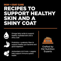 Go! Solutions Skin + Coat Care, Grain-Free Dry Cat Food, Salmon Recipe, 16 lb Bag