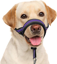 Soft Dog Head Collar, Patented Padded No Pull Training Head Halter – Essentials for Dogs - Purple / XL (Snout 12"-17.5")