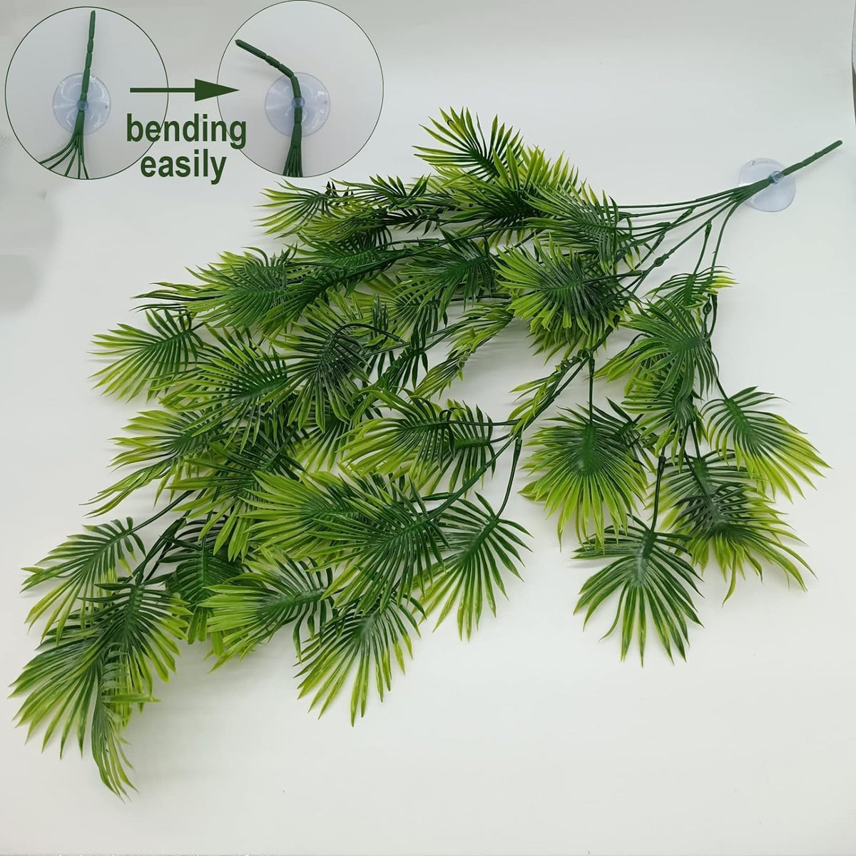 Reptile Plants for Bearded Dragon Tank Accessories - Group Abn - image 4