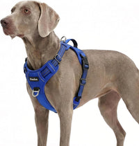 Funfox Dog Harness Medium Sized Dog - Blue / X-Large