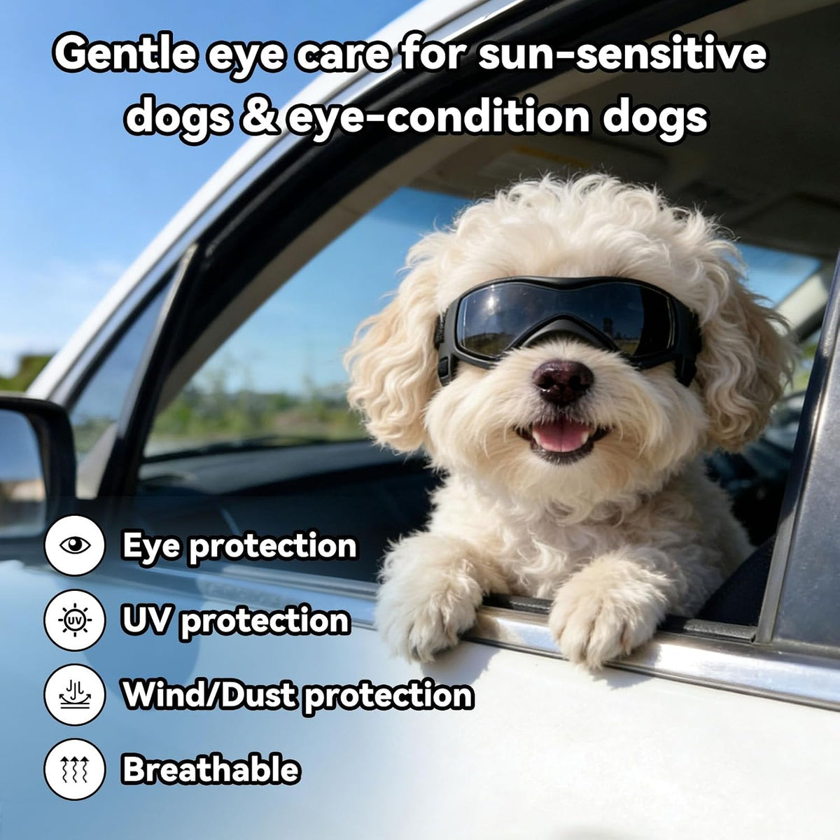 Dog Sunglasses for Extra Small Breed UV Protection Windproof XS Dog - Small / Black - image 3