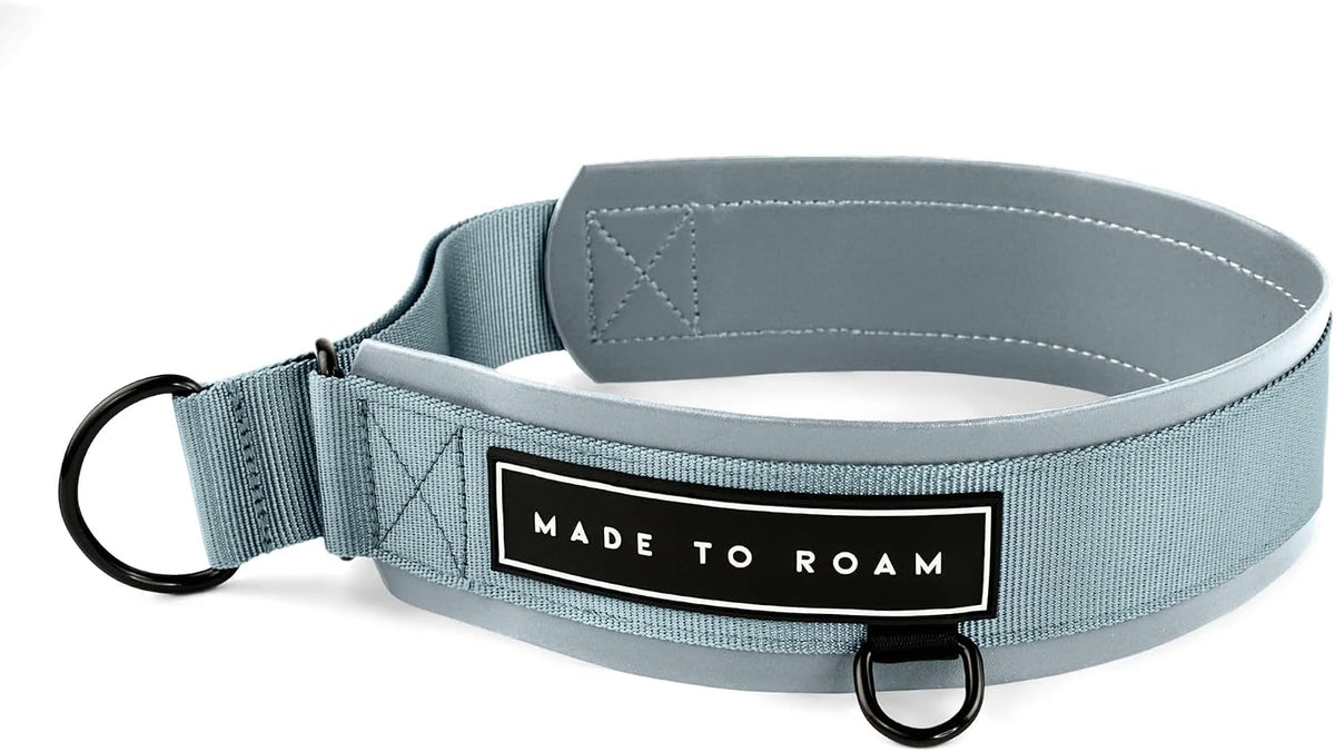 MADE TO ROAM Premium Everyday Dog Collar - Virginia Mountains / Size 7