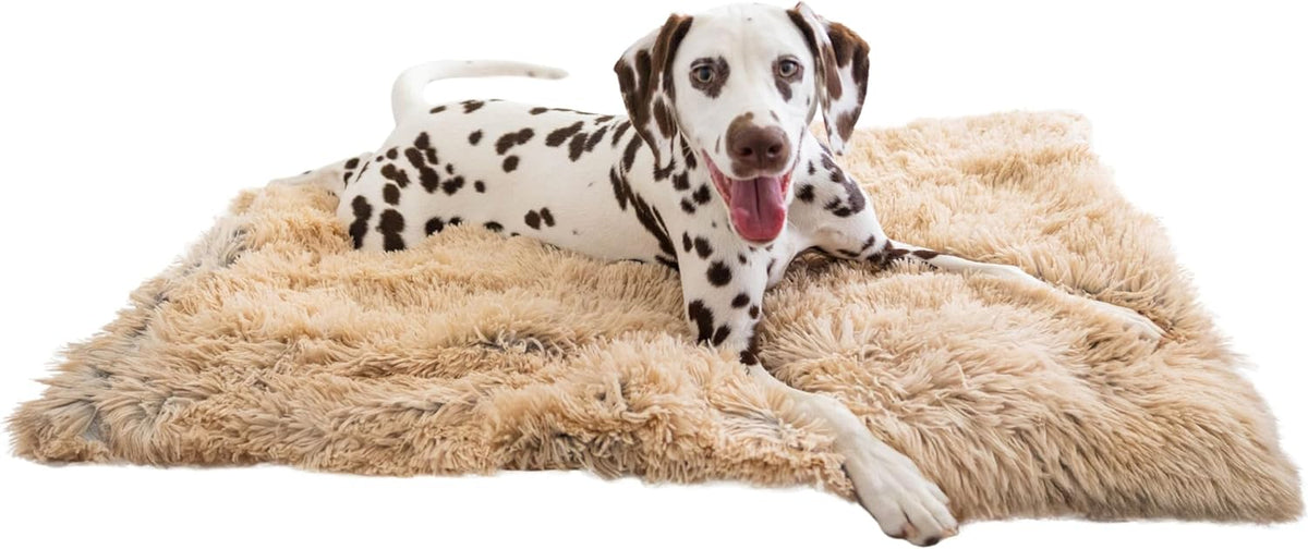 Best Friends by Sheri Dog Blanket, Shag Faux Fur - Taupe / 30" x 40"