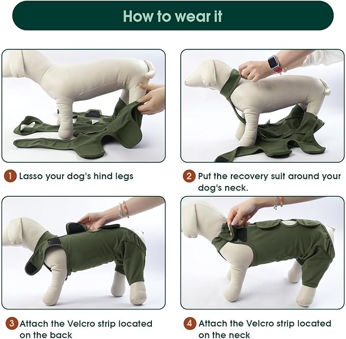 Kuoser Thigh Wound Protective Sleeve for Dogs, Dog Surgery Recovery Suit for Rear Legs, Dog Recovery Sleeve for Female Male Dogs, Dog Onesie After Surgery Pet Surgical Suit for Spay Neuter, Green