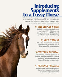 Body Builder Compete: Advanced Horse Weight Gain Supplement, Designed for Competition and Sale, 11lb Bag