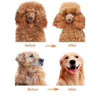 Dog or Cat Comb Grooming with Short and Long Teeth Dematting Knots Tangles Remover Combs Detangler Tool Suitable for Dogs Cats Poodle HorseStainless Steel Pin (Red)