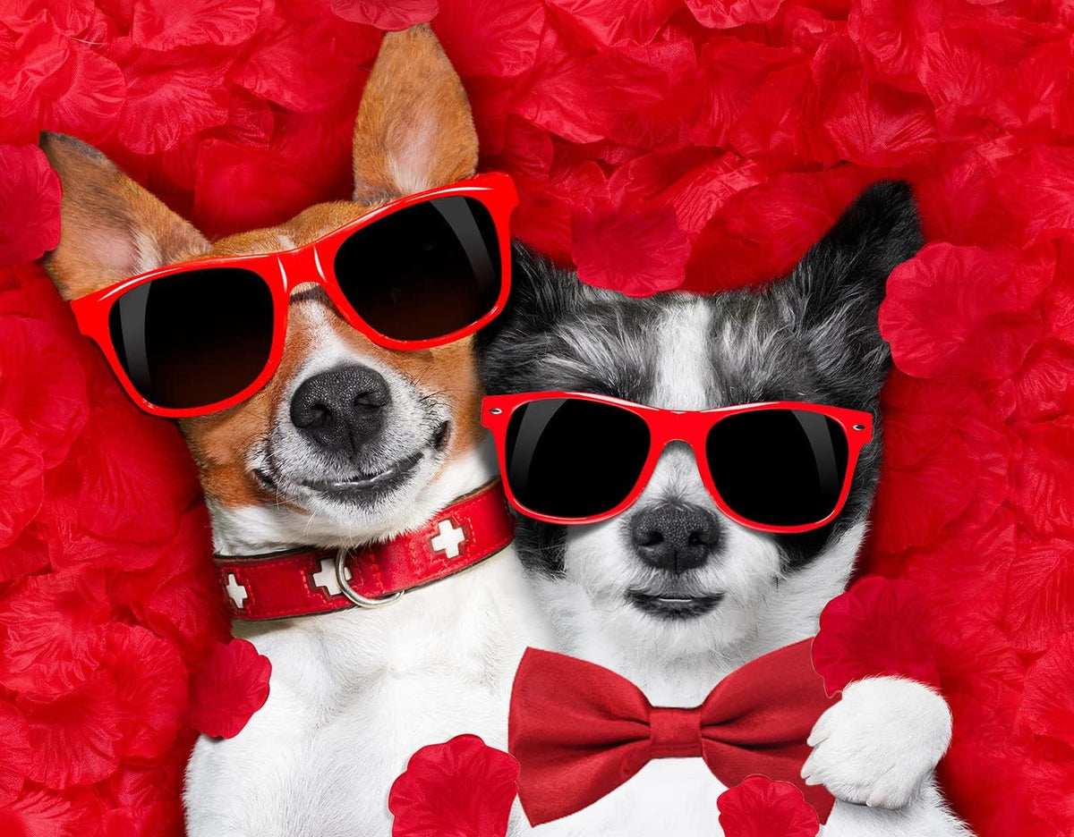 Formal Dog Bow Ties for Medium & Large Dogs – Essentials for Dogs - Dark Red - image 3
