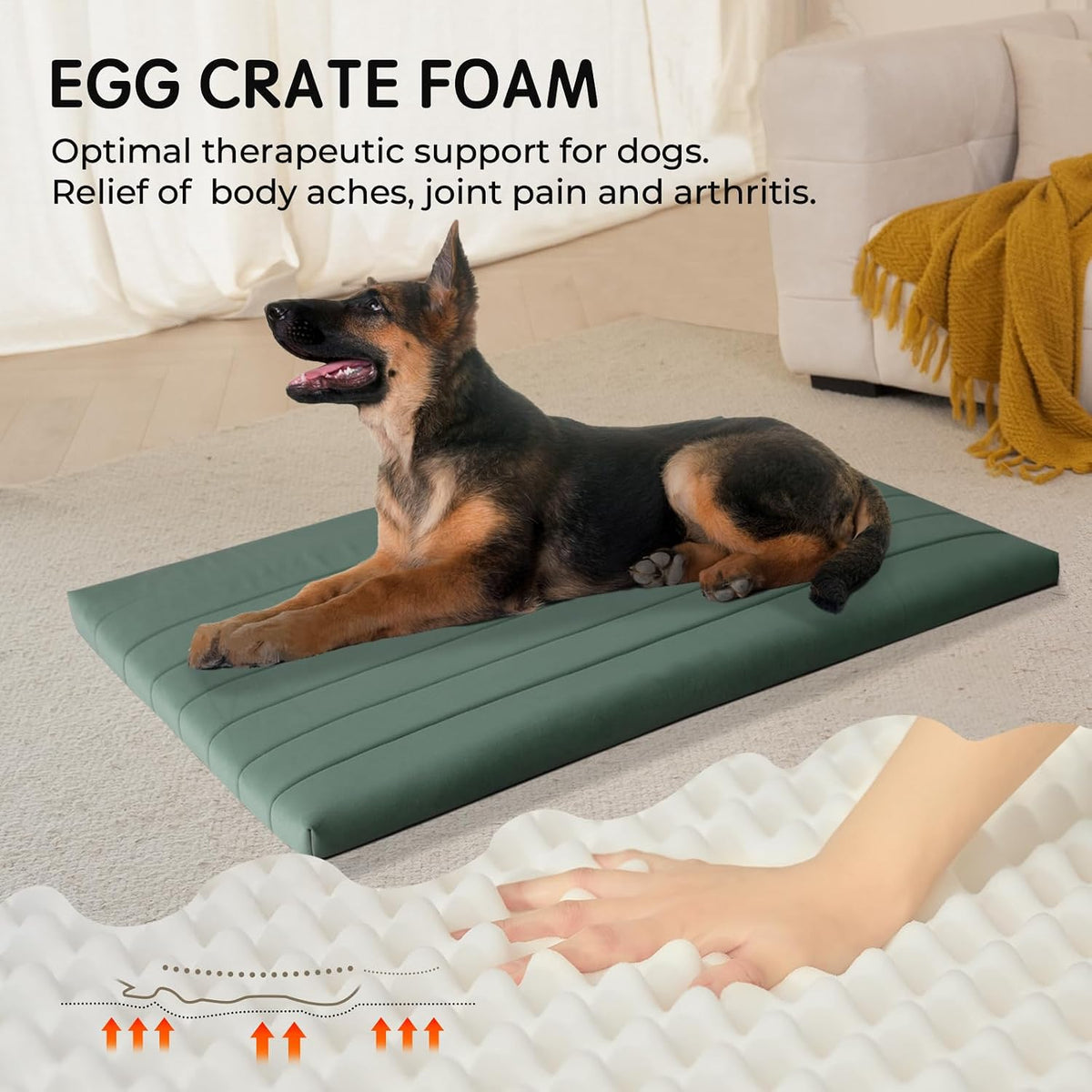 BALANCE Dog Crate Bed, Orthopedic Dog Bed Pad with Waterproof Liner, Washable Crate Foam Pet Mat - Mint Leaf / 48.0"L x 30.0"W x 2.0"Th - image 2