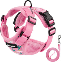 Cat Harness and Leash Set, Adjustable and Escape Proof - Pink Coneflower / M
