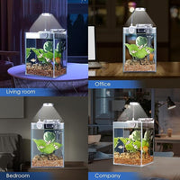 Desktop Glass Fish Tank 1.25 Gallons Small Aquarium Set, Self Cleaning Filter System Bright LED Light Gravel Plant Cleaning Tool, Betta Small Space Kit Easy Setup Space Saving Design