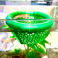 2pcs Wood Fish Feeding Ring for Aquarium，Floating Betta Hammock - Green / 1pcs big and 1pcs small floating version