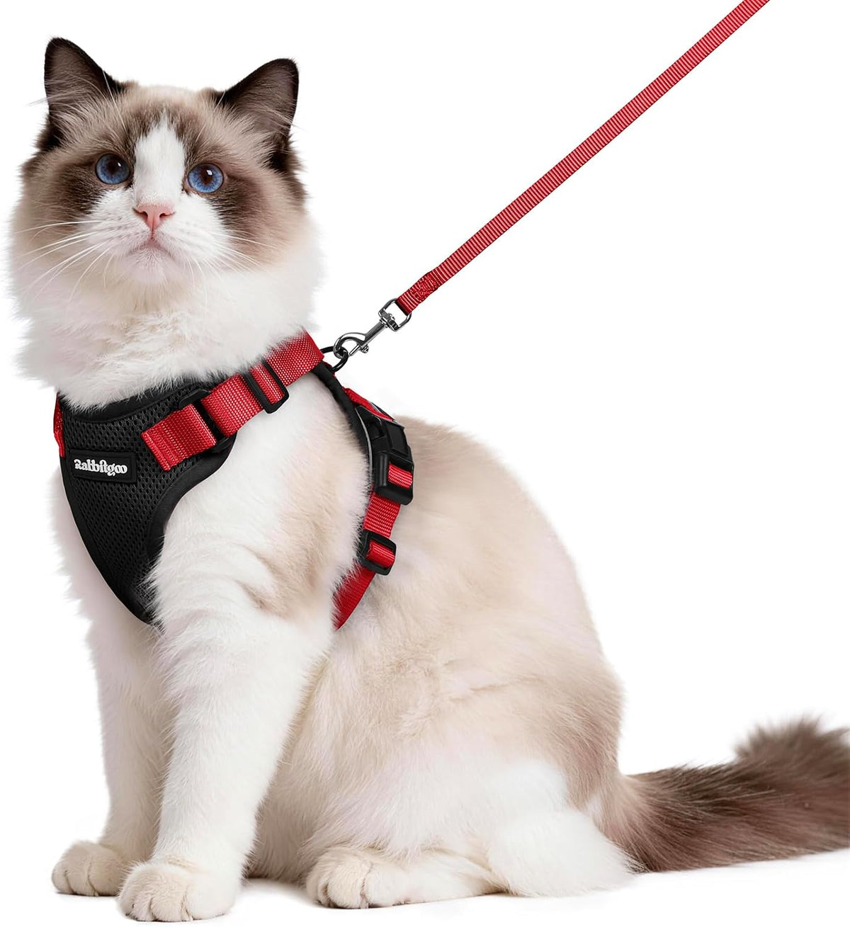 rabbitgoo Cat Harness and Leash Set, Escape Proof Vest - M / Black & Red