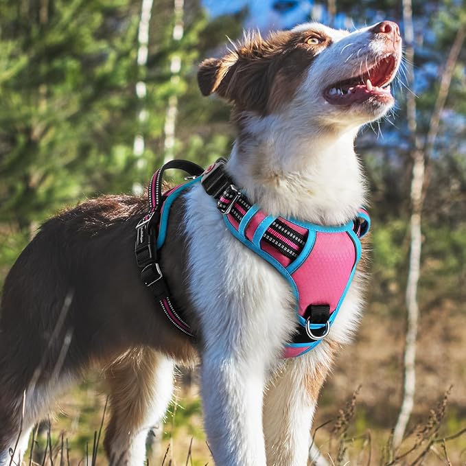 rabbitgoo Dog Harness Medium Sized, No Pull Dog Vest with 3 Buckles, Adjustable Soft Padded Pet Harness with Easy Control Handle and Reflective Strips, Rose Pink & Blue, M