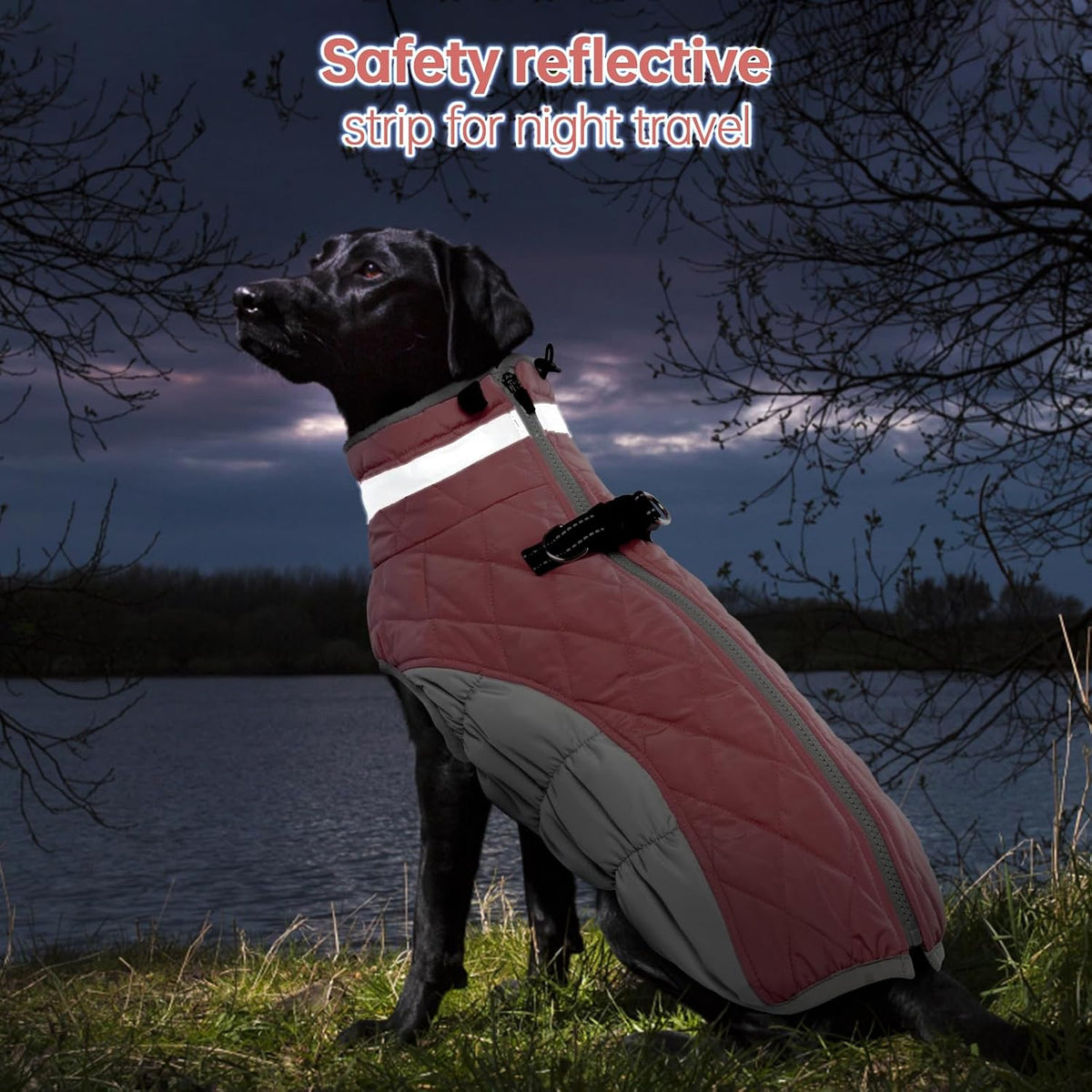 Dog Winter Jacket Cozy Reflective Waterproof Windproof Warm Pet - Small / BerryPink - image 3