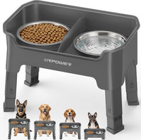 URPOWER Elevated Dog Bowls - Grey / Medium
