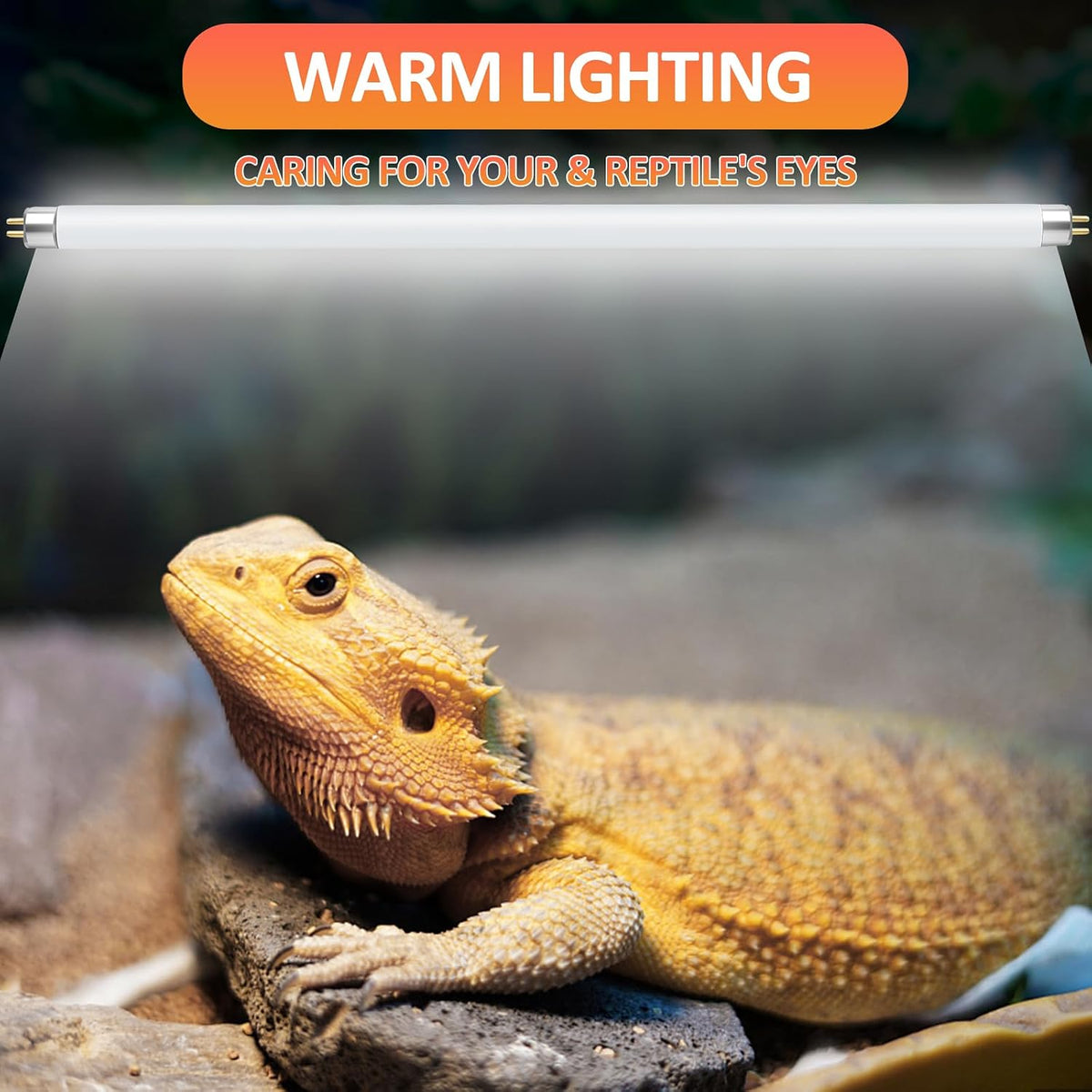 T5 UVB Reptile Light 24W 10.0, UVA UVB Light Bulb for Reptiles - 2 pack T5 Tube-24W 10.0 - image 3