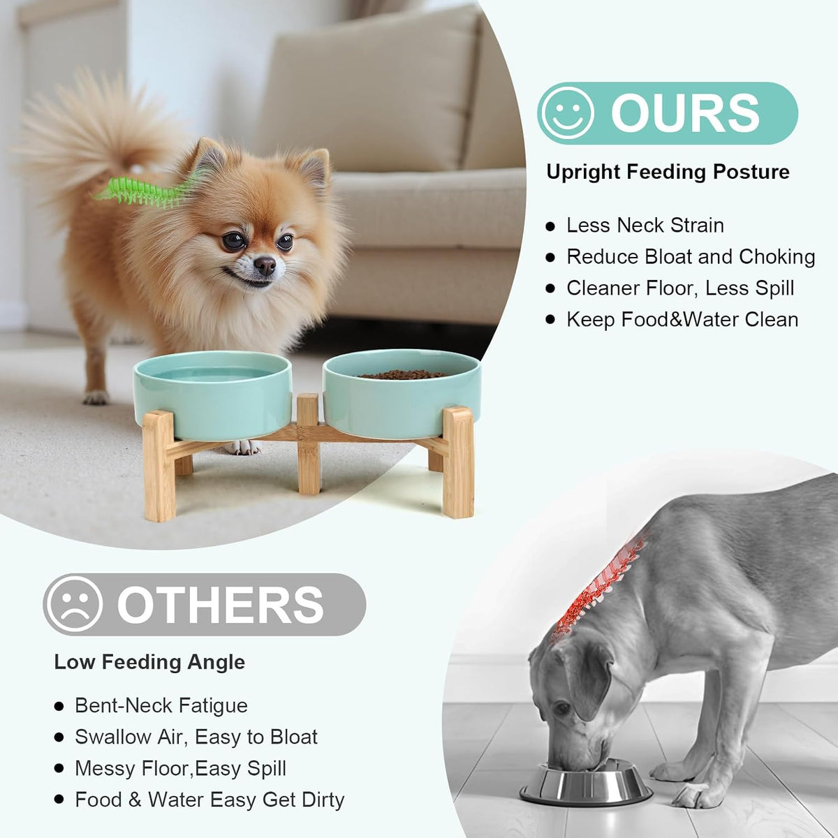 SPUNKYJUNKY Elevated Dog Bowls Ceramic - 5.1 in - 1.7 cups / Light Green - image 3