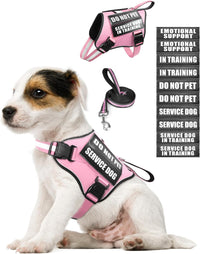 Service Dog Vest Harness and Leash Set+10 Patches - Extra-Small / Pink
