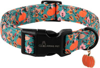 ARING PET Fall Dog Collars - Medium / Fall Pumpkin Leaf