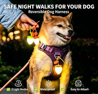 LaRoo Dog Lights, Led Collar Lights for Nighttime Walking - Yellow-C - image 2