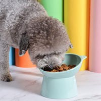 Tilted Cat Food Bowl, Whisker Friendly, Anti Vomiting, Slanted - Tall Cat Bowl-Green - image 3