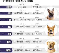 CollarDirect Rolled Leather Dog Collar, Soft Padded Round Puppy Collar, Handmade Genuine Leather Collar Dog Small Large Cat Collars 13 Colors (11-14 Inch, Purple Smooth)