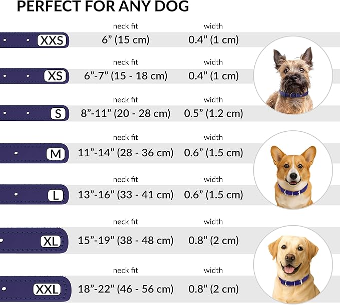 CollarDirect Rolled Leather Dog Collar, Soft Padded Round Puppy Collar, Handmade Genuine Leather Collar Dog Small Large Cat Collars 13 Colors (11-14 Inch, Purple Smooth)