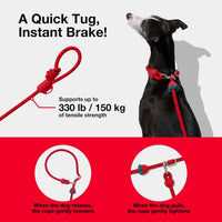 VETRESKA Hands-Free Dog Leash - Strawberry Red - image 3