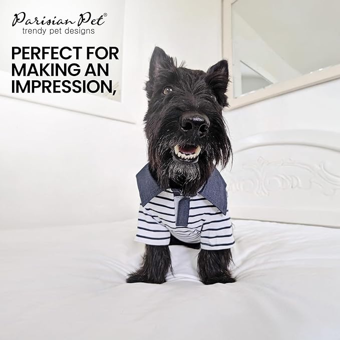 Parisian Pet Preppy Boy Polo Dog Shirt – Puppy Outfits – 100% Cotton Doggie Clothes – Cute Machine Washable Puppy Apparel - Dog Shirts for Medium Dogs M