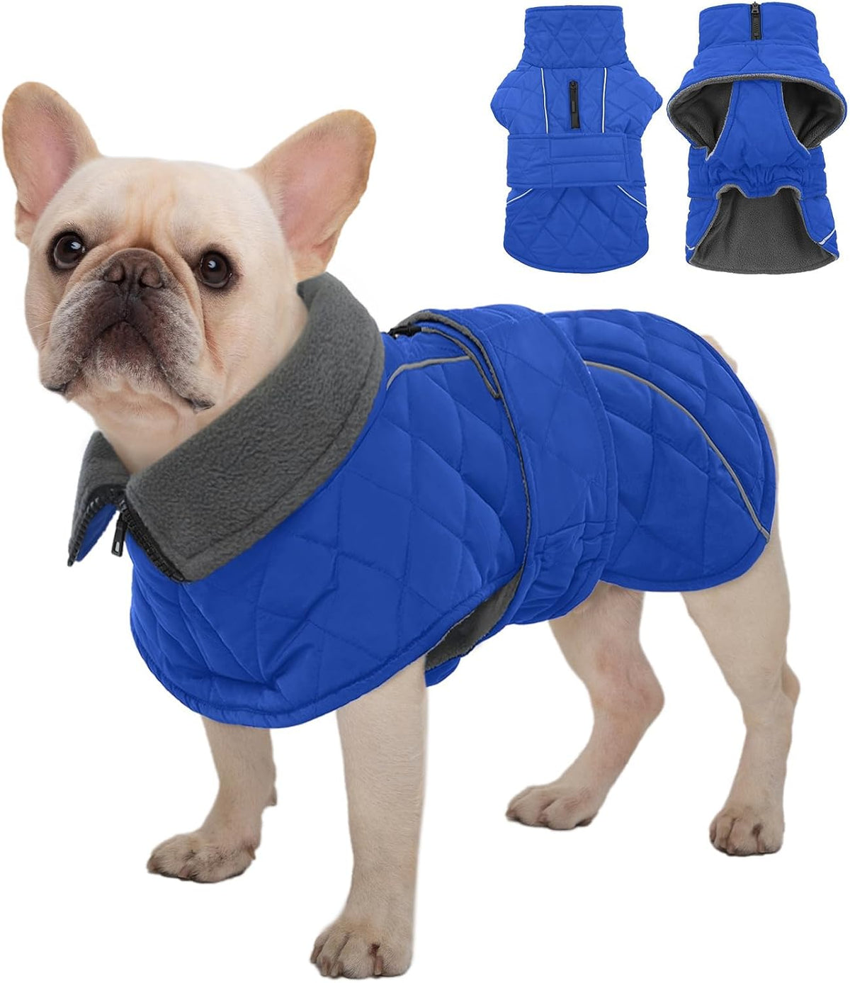 Kuoser Large Dog Coat, Fleece Lined Dog Winter Jacket with Harness Hole, L – Essentials for Dogs - Small (Chest: 12.59" - 16.53") / Royal Blue