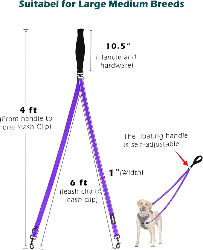 PetBonus Two Point Control Dog Leash, Works with No Pull Harnesses, No Tangle Dog Training Leashes, No Pull Padded and Reflective Walking Lead, Converts to Single Leash for Medium Large Dogs (Purple)