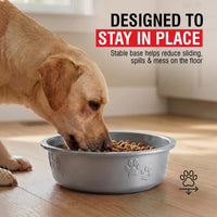Loving Pets Dolce Luminoso Dog Bowl, Non-Skid Plastic Bowl - Small / Silver - image 2