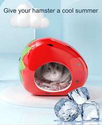 Besimple Hamster Hideout, Small Animal Hideout Ceramic Pet House - image 3
