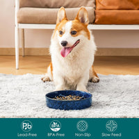 vancasso Ceramic Slow Feeder Dog Bowls - M-1.5 Cups / Blue - image 3