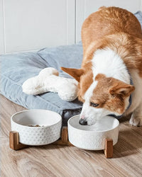 LE TAUCI Dog Bowl Set with Acacia Wood Stand - 1.5-Cup Ceramic Puppy Bowls for Small Dogs, Dual Food and Water Bowls with Weighted Non-Slip Base, Clover