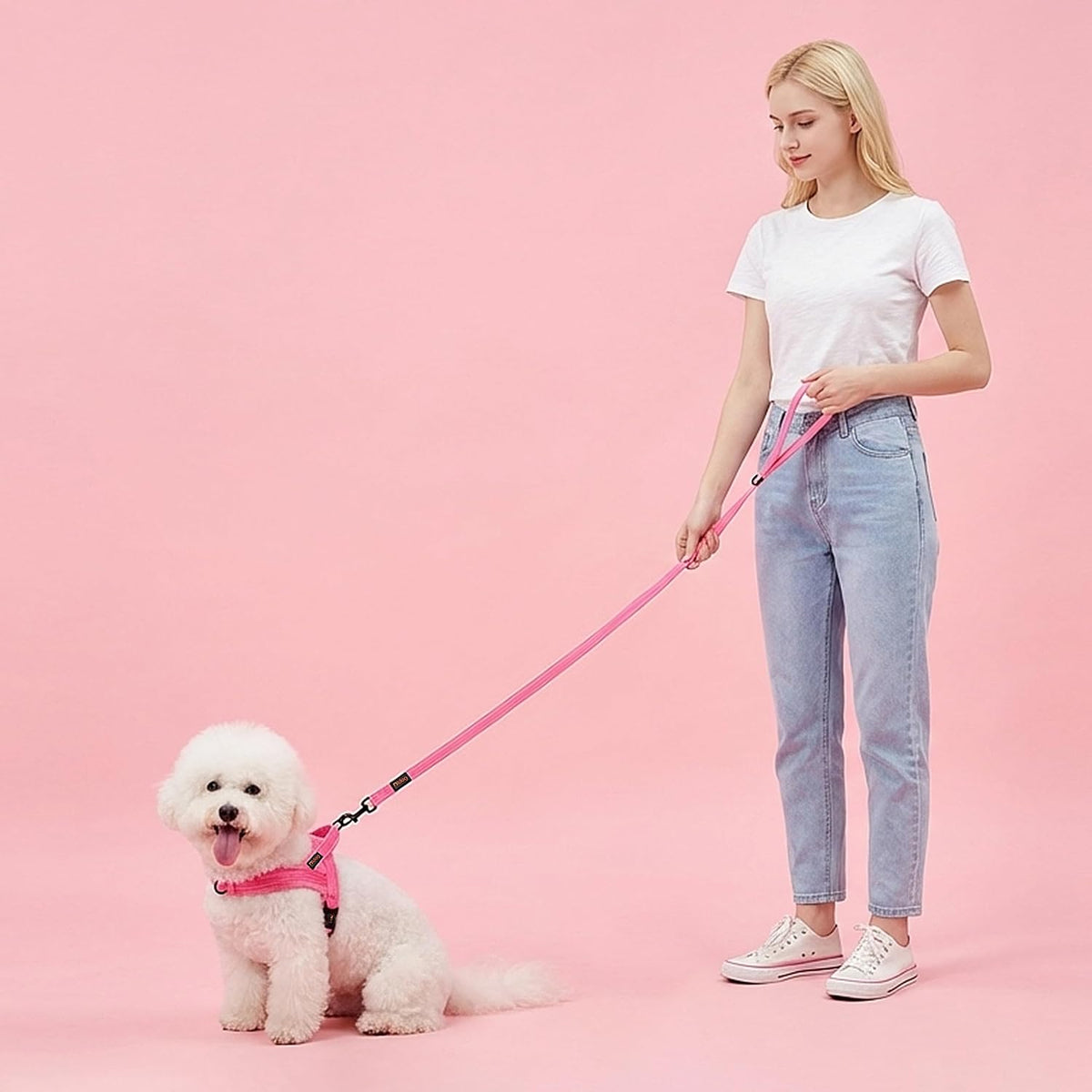 6FT Reflective Dog Leash for Small Medium Dogs, 5/8" Width - Pink / 5/8''x 6 FT - image 2