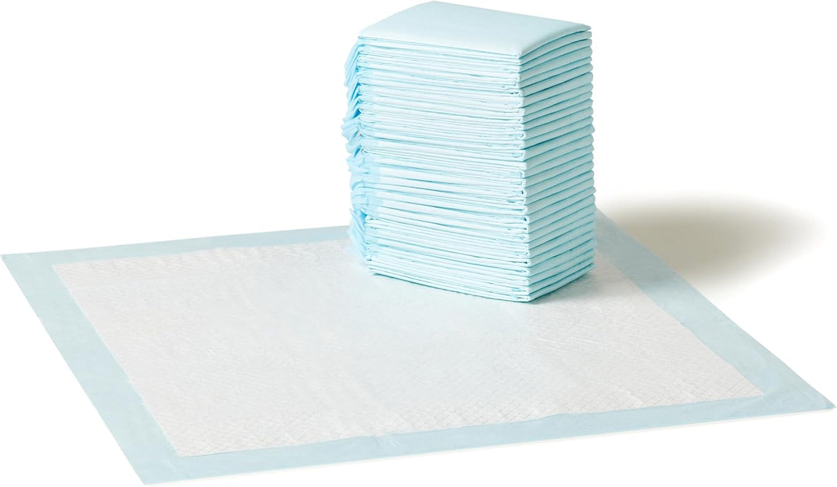 Amazon Basics Scented Dog and Puppy Potty Training Pee Pads - 30 Count / Regular (22"×22")