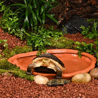 Extra Large Reptile Bathing Pool Reptile Feeding Dish Water Bowl - Red Pottery - image 4