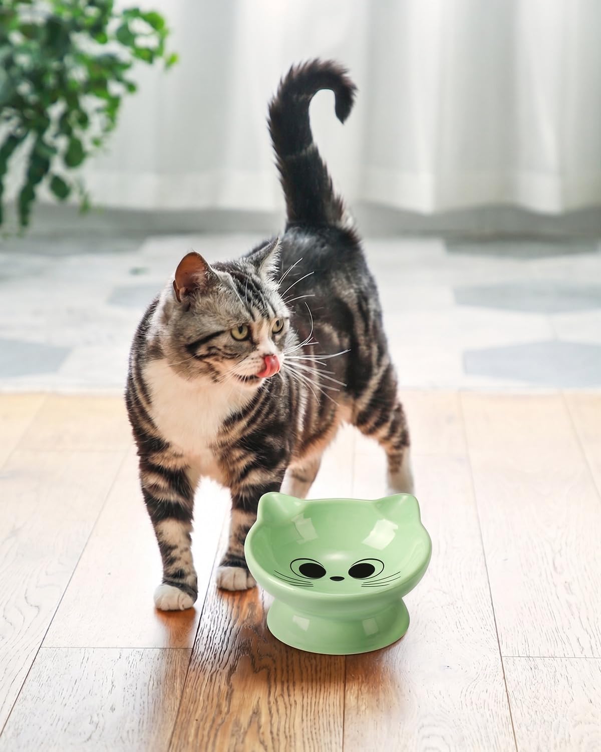 Raised Cat Food Bowl Ceramic 15° Tilted Cat Food Bowls Protect Cat's - FaceGreen-1P / 1 - image 4