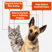 Truseb | Benzoyl Peroxide 3% Shampoo for Dogs,Cats and Horses (3% Benzoyl Peroxide Shampoo, 12 oz)
